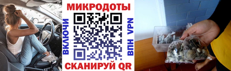 Галлюциногенные грибы Psilocybe что такое наркотик Липки